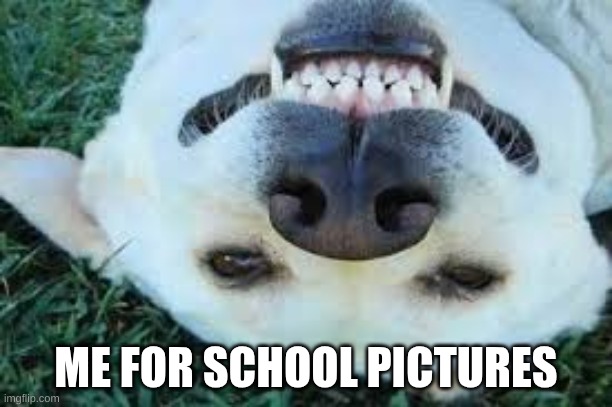 ItsDaBosKi53 | ME FOR SCHOOL PICTURES | image tagged in itsdaboski53 | made w/ Imgflip meme maker