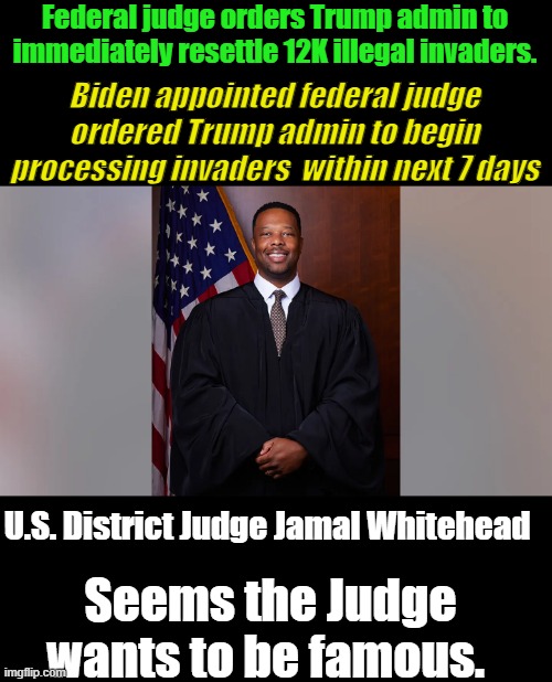 The Plantiffs listed  DON'T EVEN HAVE LAST NAMES LISTED in court document's | Federal judge orders Trump admin to immediately resettle 12K illegal invaders. Biden appointed federal judge ordered Trump admin to begin processing invaders  within next 7 days; U.S. District Judge Jamal Whitehead; Seems the Judge wants to be famous. | made w/ Imgflip meme maker