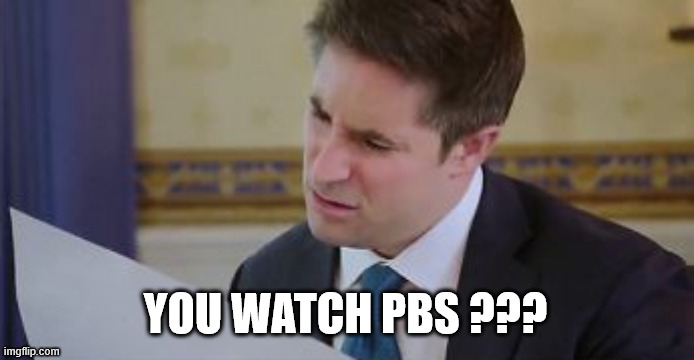 YOU WATCH PBS ??? | made w/ Imgflip meme maker