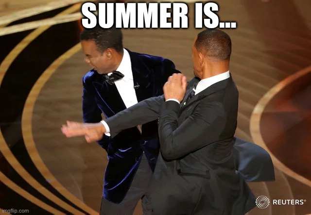 Will Smith punching Chris Rock | SUMMER IS… | image tagged in will smith punching chris rock | made w/ Imgflip meme maker