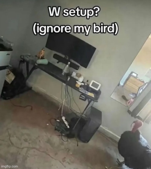 Setup | made w/ Imgflip meme maker