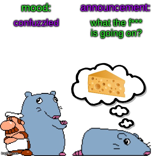 street rat announcement V2 | confuzzled; what the f*** is going on? | image tagged in street rat announcement v2 | made w/ Imgflip meme maker