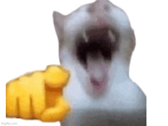Blank White Template | image tagged in blank white template | made w/ Imgflip meme maker