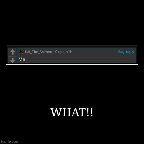 WHAT!! | | image tagged in funny,demotivationals | made w/ Imgflip demotivational maker