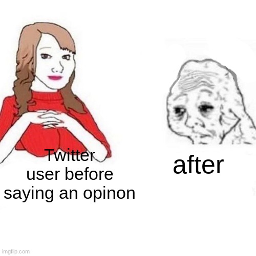 Twitter | Twitter user before saying an opinon; after | image tagged in yes honey | made w/ Imgflip meme maker