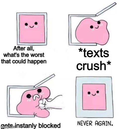 why do I even try | After all, what's the worst that could happen; *texts crush*; gets instanly blocked | image tagged in never again,memes,funny,sad,crush,sad but true | made w/ Imgflip meme maker