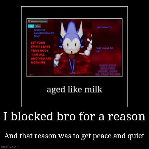 ^^ | I blocked bro for a reason | And that reason was to get peace and quiet | image tagged in funny,demotivationals | made w/ Imgflip demotivational maker