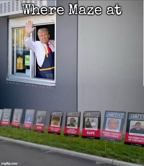 Where Maze at | image tagged in msmg | made w/ Imgflip meme maker