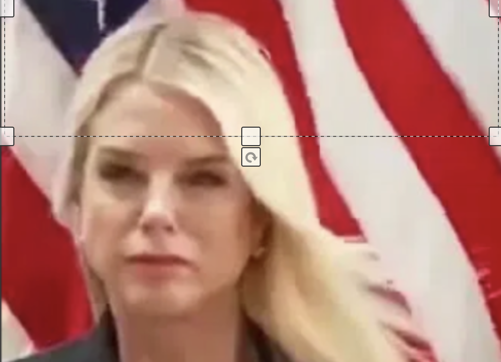 Pam Bondi Squinting Blank Meme Template