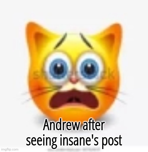 /s | Andrew after seeing insane's post | image tagged in cat stock emoji scared | made w/ Imgflip meme maker