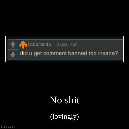 No shit | (lovingly) | image tagged in funny,demotivationals | made w/ Imgflip demotivational maker