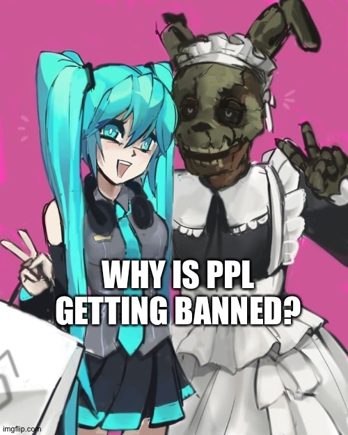 FNAF | WHY IS PPL GETTING BANNED? | image tagged in fnaf | made w/ Imgflip meme maker