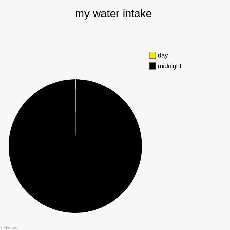 my water intake | midnight, day | image tagged in charts,pie charts | made w/ Imgflip chart maker