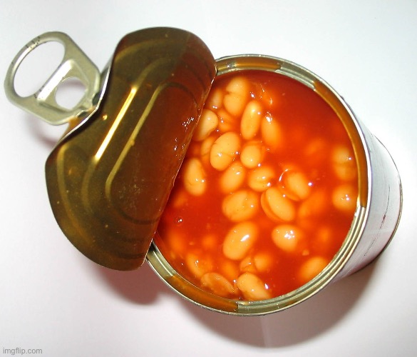 image tagged in can of beans | made w/ Imgflip meme maker