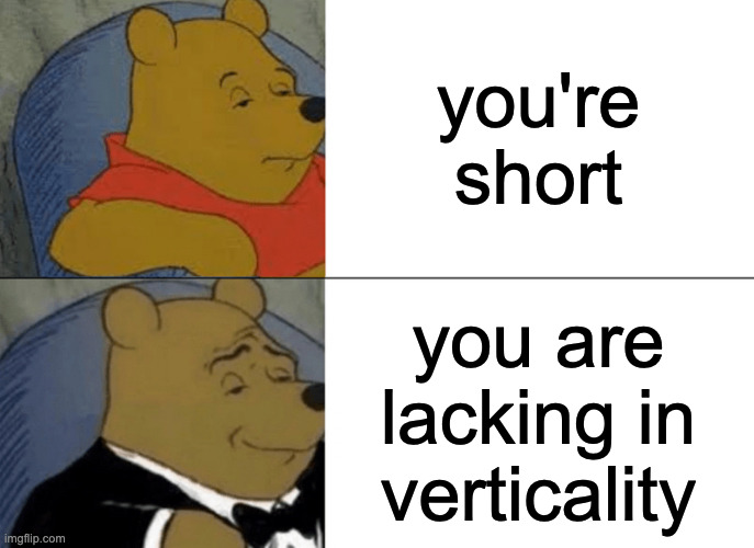 i r verticaly challanged | you're short; you are lacking in verticality | image tagged in memes,tuxedo winnie the pooh | made w/ Imgflip meme maker