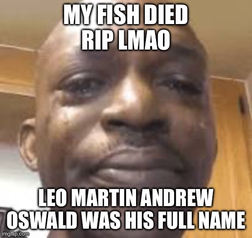 Rip lmao | MY FISH DIED
RIP LMAO; LEO MARTIN ANDREW OSWALD WAS HIS FULL NAME | image tagged in fish,sad,lmao | made w/ Imgflip meme maker