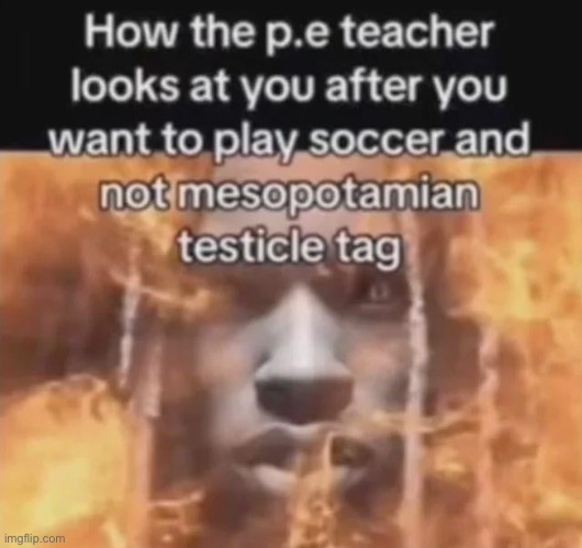 made w/ Imgflip meme maker