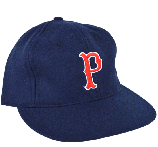 Paw sox hat Blank Meme Template