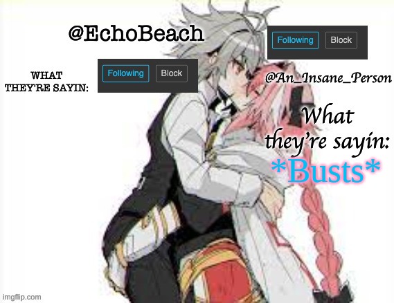 EchoBeach and InsanePerson shared temp :3 | *Busts* | image tagged in echobeach and insaneperson shared temp 3 | made w/ Imgflip meme maker