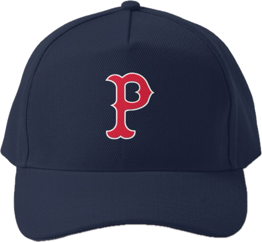 Paw Sox hat Blank Meme Template