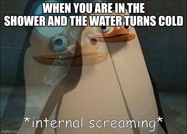 AHHHHH! WHY! | WHEN YOU ARE IN THE SHOWER AND THE WATER TURNS COLD | image tagged in private internal screaming,cold water | made w/ Imgflip meme maker