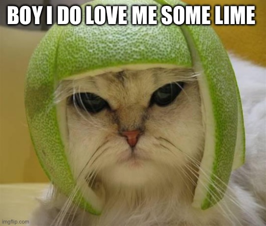 BOY I DO LOVE ME SOME LIME | image tagged in lime-cat | made w/ Imgflip meme maker