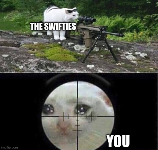 THE SWIFTIES YOU | image tagged in sniper cat | made w/ Imgflip meme maker