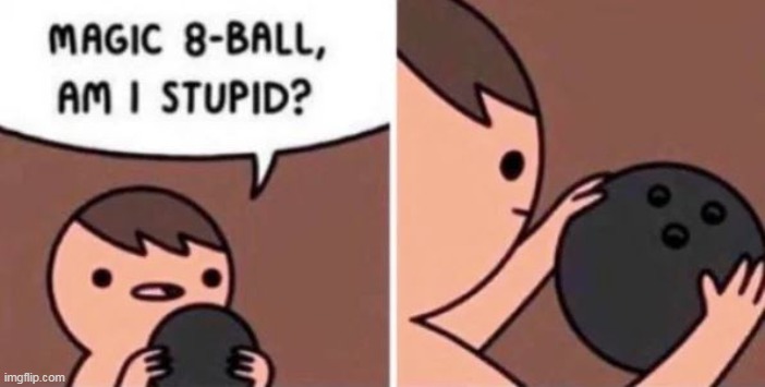 Stupid is as Stupid Does | image tagged in magic 8 ball meme | made w/ Imgflip meme maker