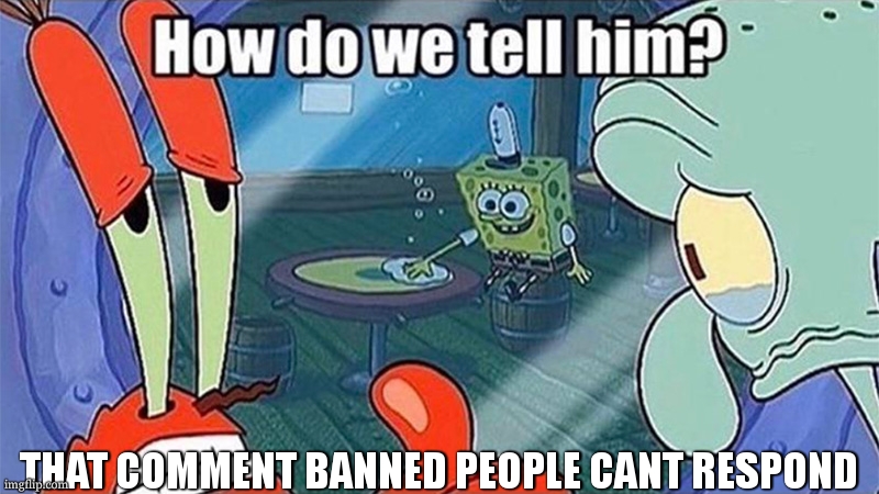 How do we tell him | THAT COMMENT BANNED PEOPLE CANT RESPOND | image tagged in how do we tell him | made w/ Imgflip meme maker
