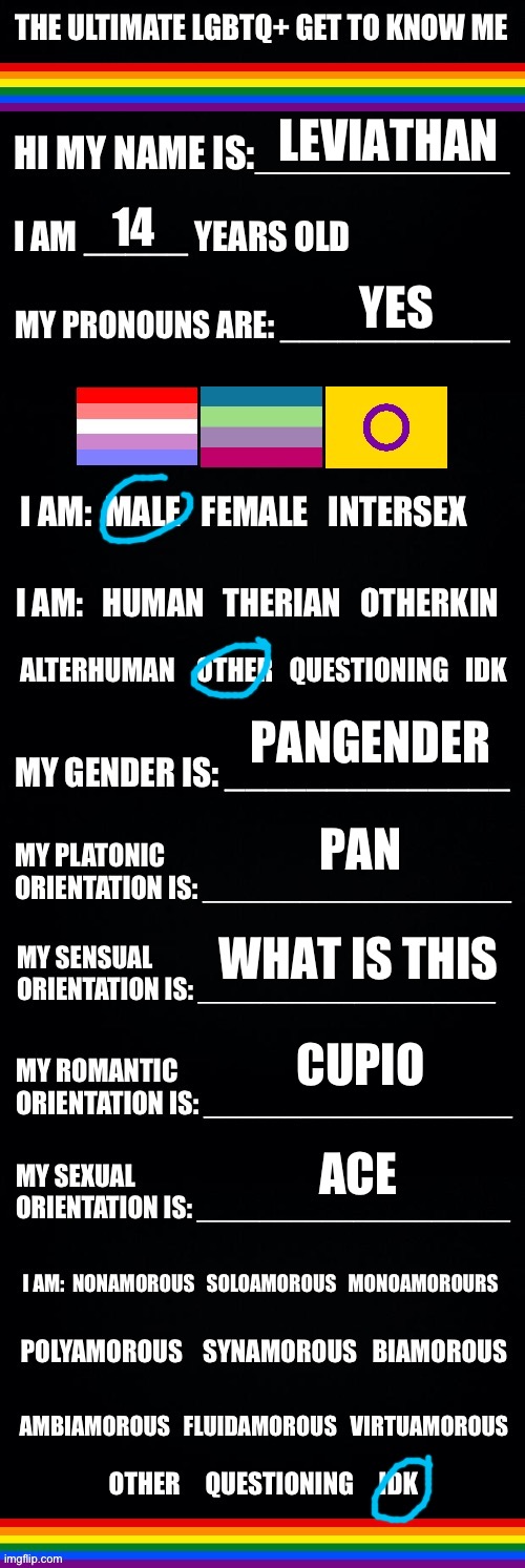 doing this since i haven’t in a while | LEVIATHAN; 14; YES; PANGENDER; PAN; WHAT IS THIS; CUPIO; ACE | image tagged in the ultimate lgbtq get to know me | made w/ Imgflip meme maker