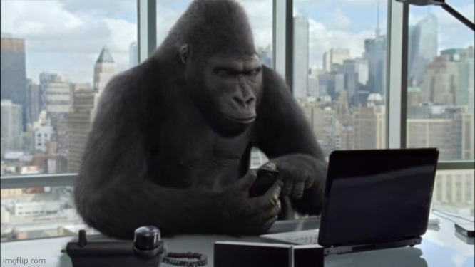 Office Gorilla | image tagged in office gorilla | made w/ Imgflip meme maker