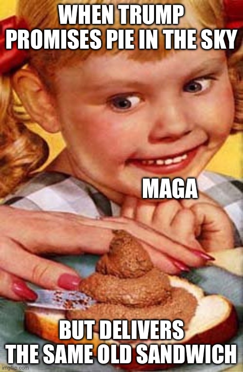 Bon Appetite, MAGA | WHEN TRUMP PROMISES PIE IN THE SKY; MAGA; BUT DELIVERS THE SAME OLD SANDWICH | image tagged in shit sandwich | made w/ Imgflip meme maker