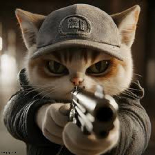 Cat holding a gun, Request by: Shoko_is_Geko | image tagged in cat holding a gun,tom the cat shooting himself,it's ai generated | made w/ Imgflip meme maker