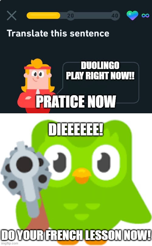 DUOLINGO PLAY RIGHT NOW!! PRATICE NOW; DIEEEEEE! DO YOUR FRENCH LESSON NOW! | image tagged in duolingo | made w/ Imgflip meme maker