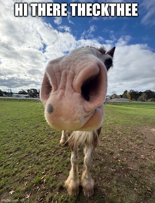 Equine humour | HI THERE THECKTHEE | image tagged in funny animal meme | made w/ Imgflip meme maker