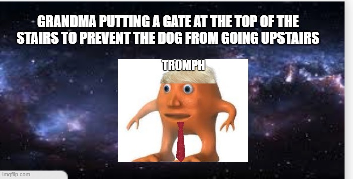 nice wall grandma btw trump 2024 | GRANDMA PUTTING A GATE AT THE TOP OF THE STAIRS TO PREVENT THE DOG FROM GOING UPSTAIRS | image tagged in surreal memes backdrop,meme man,orange | made w/ Imgflip meme maker
