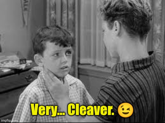 Beaver black eye | Very... Cleaver. ? | image tagged in beaver black eye | made w/ Imgflip meme maker