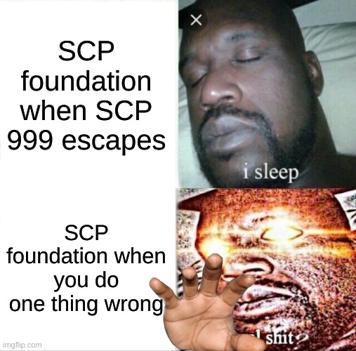 yes yes this is death | SCP foundation when SCP 999 escapes; SCP foundation when you do one thing wrong | image tagged in memes,sleeping shaq | made w/ Imgflip meme maker