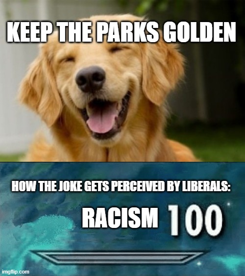 stop being offended by everything | KEEP THE PARKS GOLDEN; HOW THE JOKE GETS PERCEIVED BY LIBERALS:; RACISM | image tagged in golden retreiver,skyrim skill meme | made w/ Imgflip meme maker