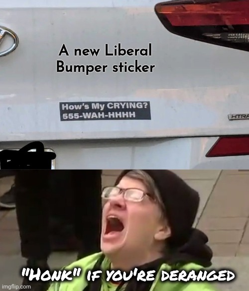 Warning : Stay Back | A new Liberal Bumper sticker; "Honk" if you're deranged | image tagged in screaming liberal,bumper sticker,special,disrespect,loud and proud | made w/ Imgflip meme maker