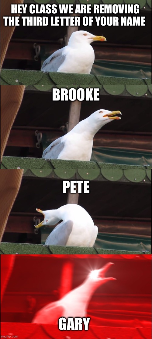 Inhaling Seagull | HEY CLASS WE ARE REMOVING THE THIRD LETTER OF YOUR NAME; BROOKE; PETE; GARY | image tagged in memes,inhaling seagull | made w/ Imgflip meme maker