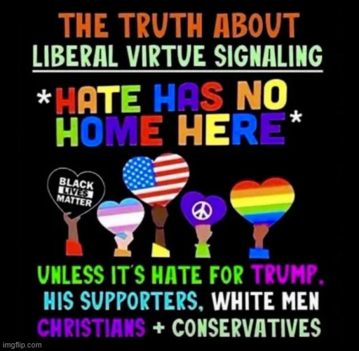 Truth about liberal virtue signaling | image tagged in political,reposts,it is the truth | made w/ Imgflip meme maker
