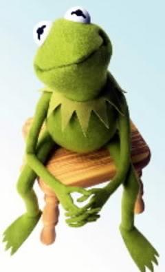 High Quality Concerned Kermit Blank Meme Template