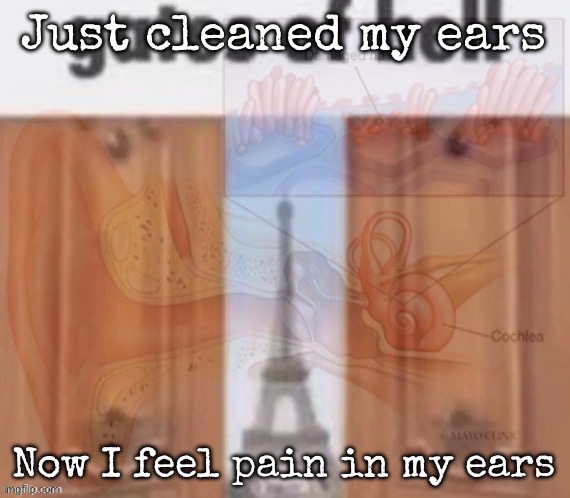 I might have brain damage | Just cleaned my ears; Now I feel pain in my ears | image tagged in msmg,brain damage | made w/ Imgflip meme maker