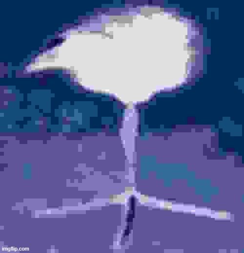 Tripod Bird | image tagged in tripod bird | made w/ Imgflip meme maker