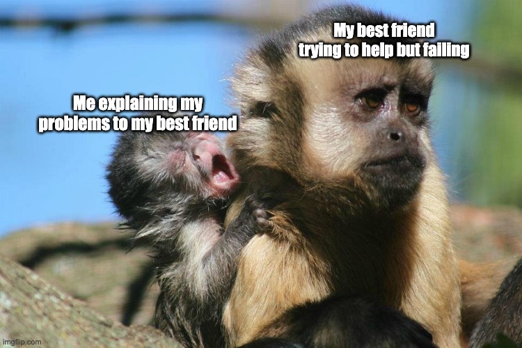ai lol | My best friend trying to help but failing; Me explaining my problems to my best friend | image tagged in baby monke yelling at mom,memes,funny,monkey,monke,ai meme | made w/ Imgflip meme maker