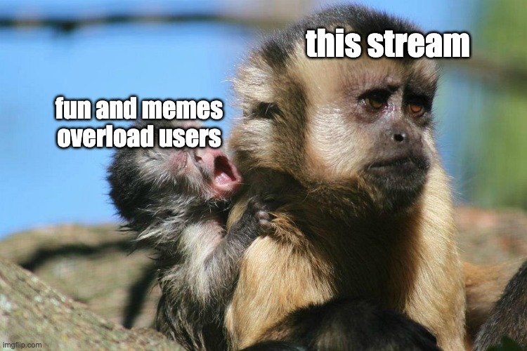baby monke yelling at mom | this stream; fun and memes overload users | image tagged in baby monke yelling at mom | made w/ Imgflip meme maker