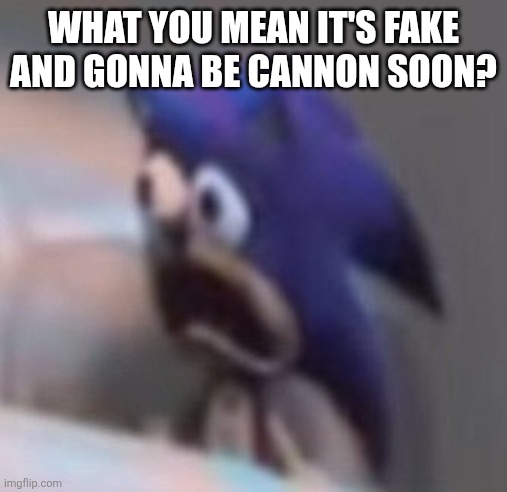 Traumatised Sonic | WHAT YOU MEAN IT'S FAKE AND GONNA BE CANNON SOON? | image tagged in traumatised sonic | made w/ Imgflip meme maker