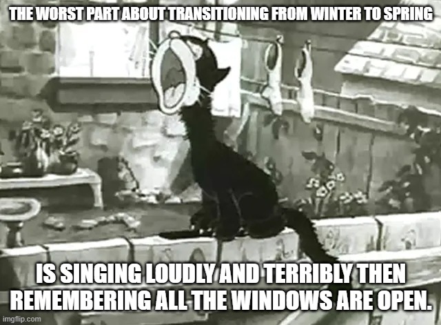 Public Performance | THE WORST PART ABOUT TRANSITIONING FROM WINTER TO SPRING; IS SINGING LOUDLY AND TERRIBLY THEN
REMEMBERING ALL THE WINDOWS ARE OPEN. | image tagged in embarassing,singing,winter,spring,bad,funny | made w/ Imgflip meme maker