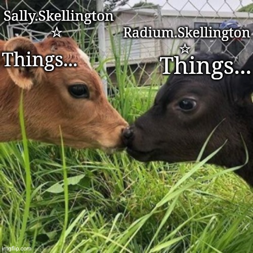 High Quality Radium and Sally temp Blank Meme Template
